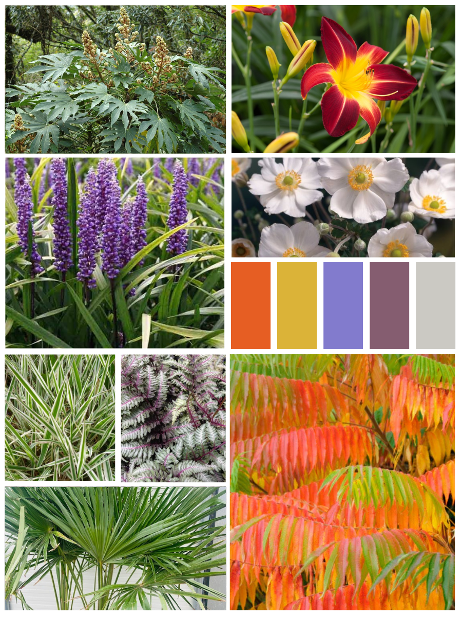 Kant-en-klaar jungletuinpakket (10m2)