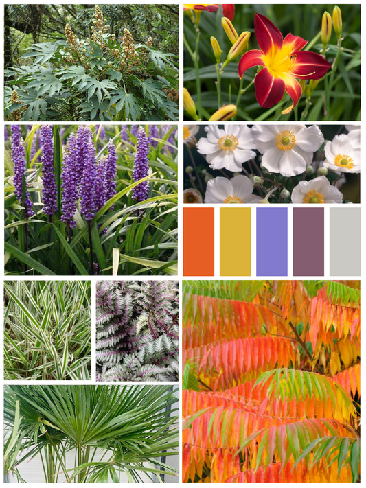 Kant-en-klaar jungletuinpakket (10m2)