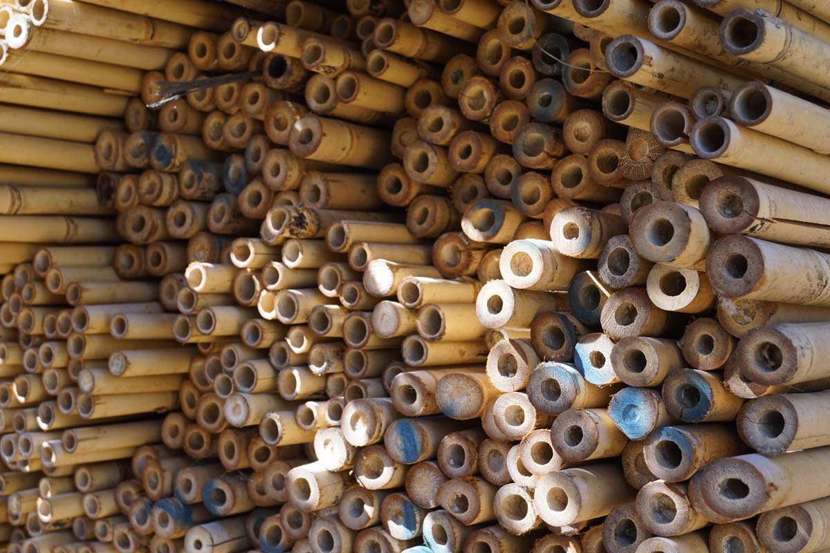 BAMBOESTPST240cmlang bamboestok