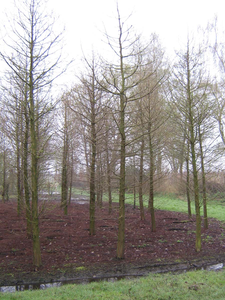 TADISTIC800-900DRSOL hoogte 800-900