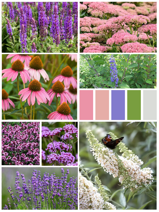 Kant-en-klaar vlindertuinpakket (10m2)