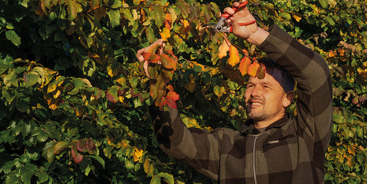 Tuinieren in de herfst